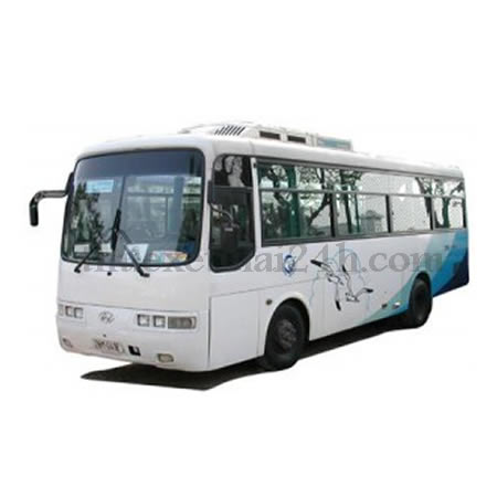 Cho thue xe tu lai Hyundai Aero Town 29 cho